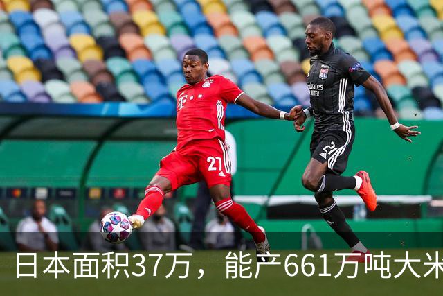 日本面积37万，能产661万吨大米，黑龙江47万平方公里能产多少呢